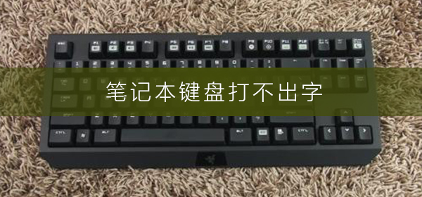 笔记本键盘打不出字笔记本键盘打不出字多种解决方法