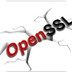 OpenSSL V1.10 破解版