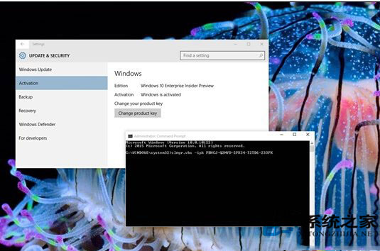 Win7系统在线看视频出现黑屏或白块怎么解决