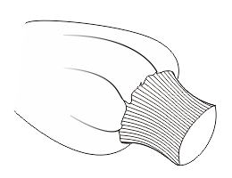 cdr怎么画罗纹领子_coreldraw画服装步骤