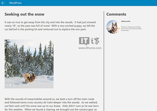 WordPress博客轻松变身Win10应用