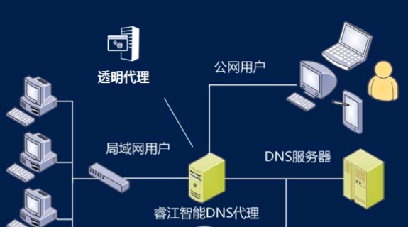 dns是什么_DNS作用介绍