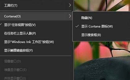 Win10如何自定义小娜的外观？