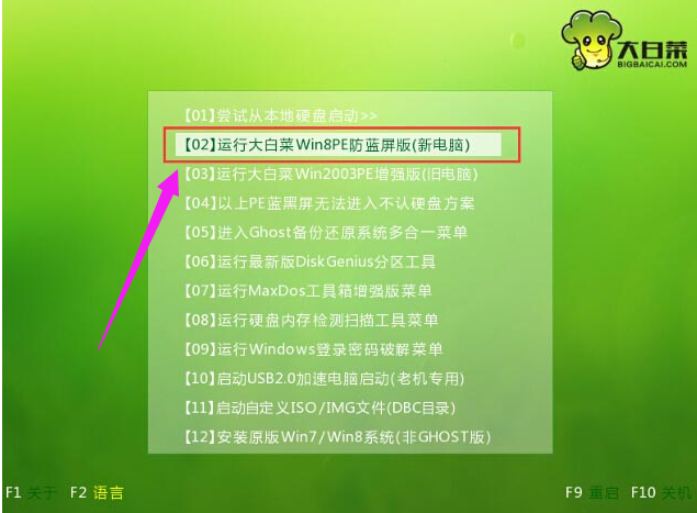 如何使用U盘启动进入PE安装系统,详细教您如何安装