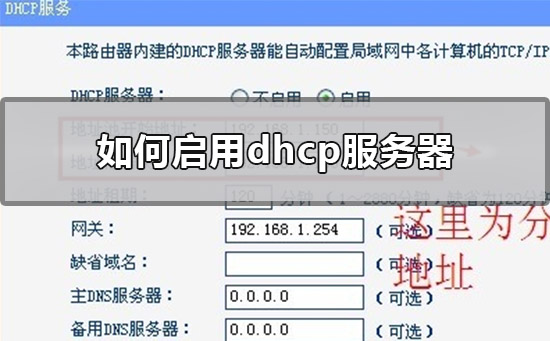 如何启用dhcp服务器_dhcp服务器设置启用的方法
