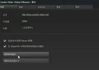win10玩csgo怎么优化参数设置_电脑玩csgo顿卡优化教程