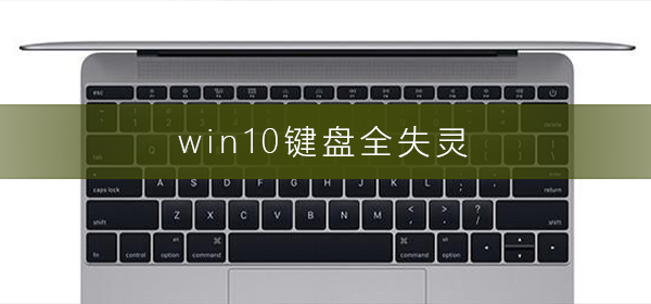 win10键盘全失灵_win10键盘全失灵解决方法