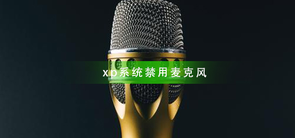 xp系统如何禁用麦克风_xp系统禁用麦克风的方法