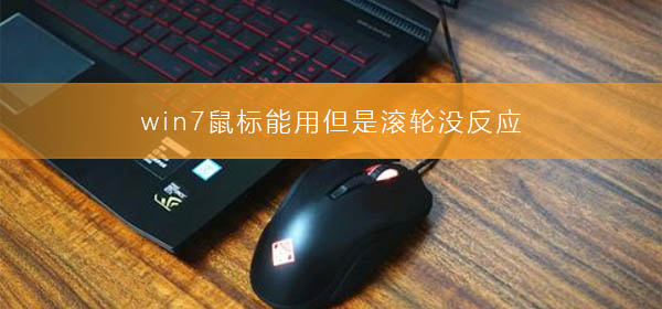 win7鼠标能用但是滚轮没反应_修复win7鼠标滚轮没反应的方法