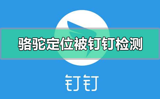 骆驼定位被钉钉检测怎么办-骆驼定位被钉钉检测的解决方法