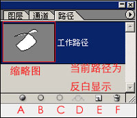 Photoshop钢笔工具怎么用 PS钢笔工具使用教程