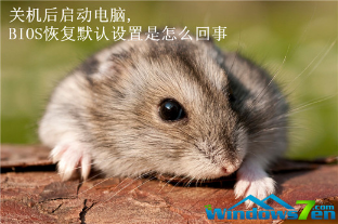 Windows7系统脑开机BIOS恢复默认设置