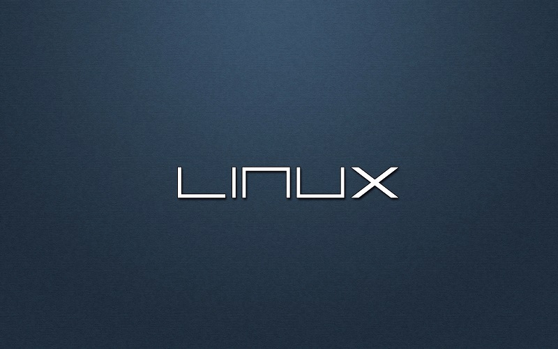 Linux系统中如何安装并使用http_load对服务器进行压力测试
