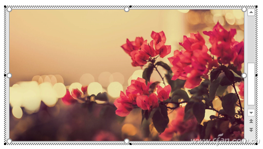 PPT路演 缩略图一点即现