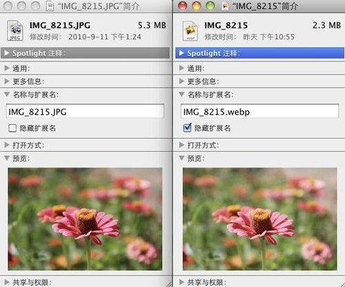 RMVB已死MP3也要淘汰?谈近年离我们远去的技术