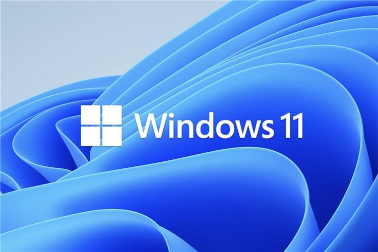 Win11预览版和正式版有什么区别？