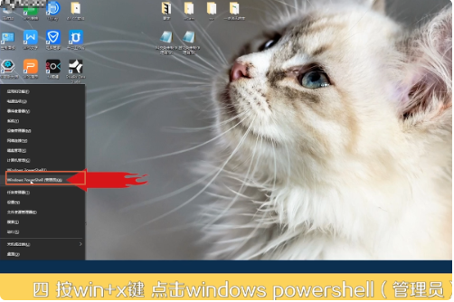 Win10