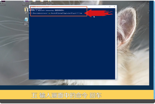Win10