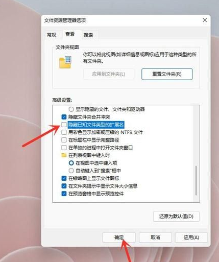 Win11怎么显示文件后缀名？Win11显示文件后缀名设置方法