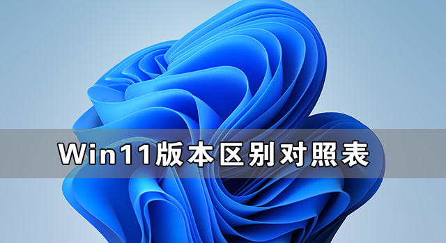 Win11各个版本有什么不同 Win11各个版本区别对照表