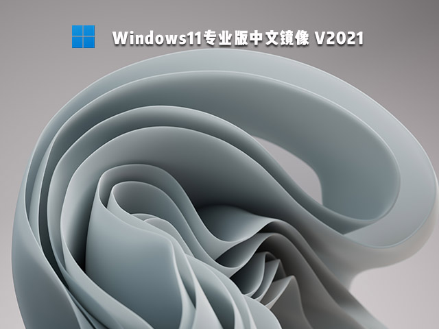 Windows11中文专业版 V2021