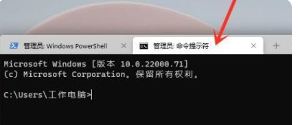 Win11命令提示符怎么打开(图6)
