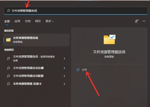 windows11系统文件后缀名怎么显示？