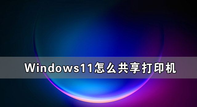 Windows11如何设置共享打印机？Windows11共享打印机设置方法