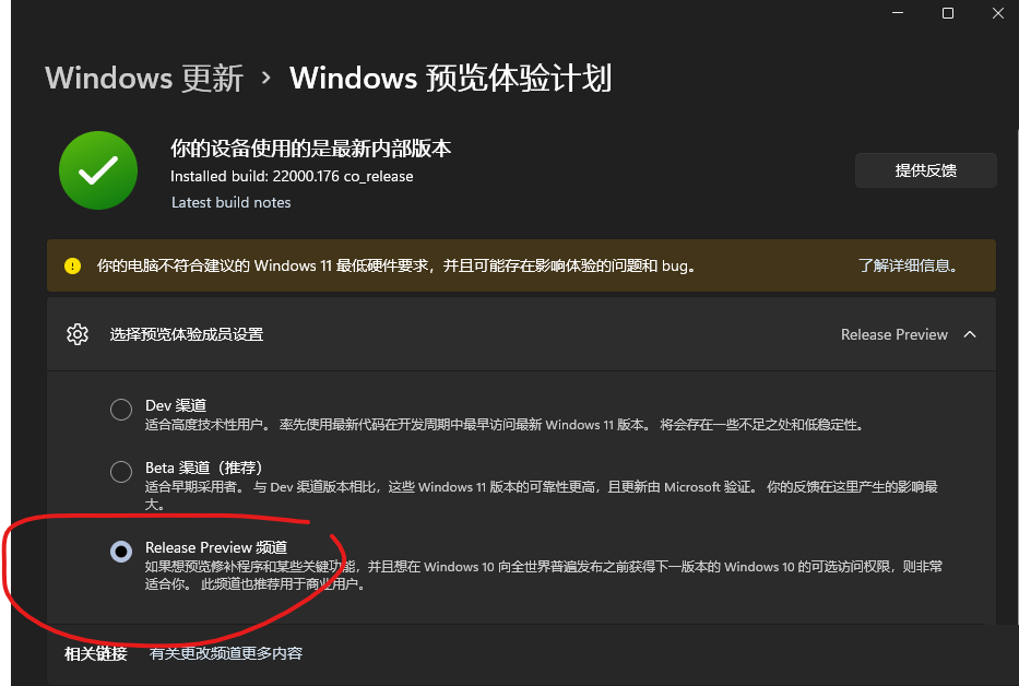 Win11 release preview通道是什么？