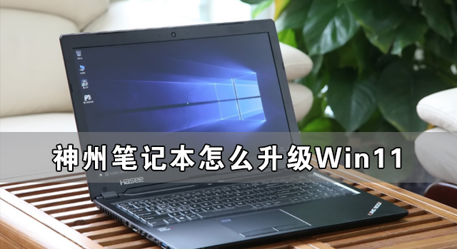 神州笔记本怎么升级Win11？