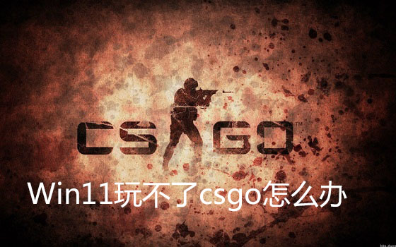 Win11玩不了csgo？Win11玩不了csgo的解决方法