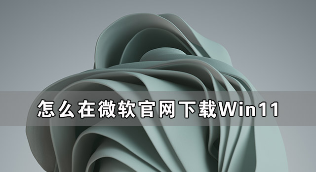 怎么在微软官网下载Win11？如何更新官方Win11系统