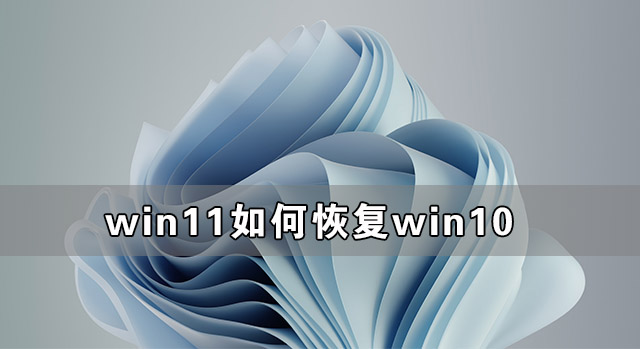 Win11如何恢复到Win10系统？