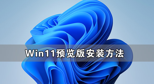 如何获取Win11预览版？