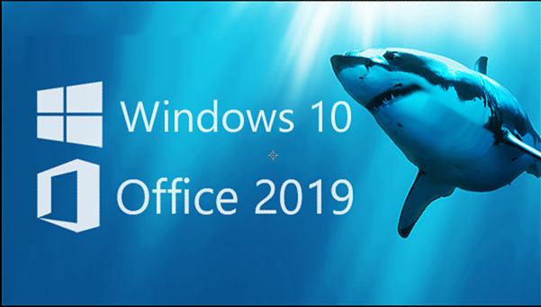 Windows11 Office2019激活密钥大全