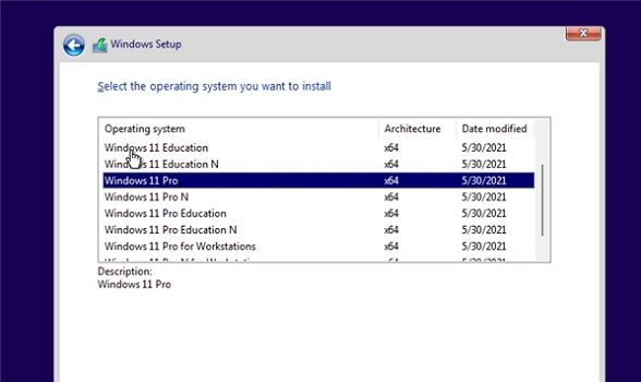 Windows11 pro是什么版本在哪下载？(图4)