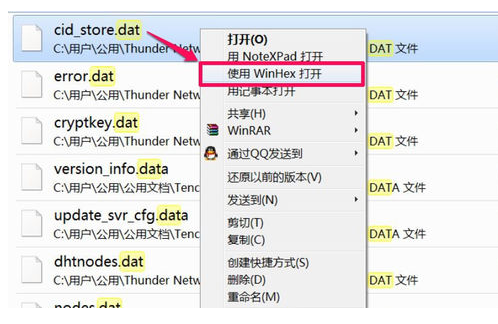 Win10专业版dat文件怎么打开?