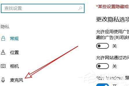 Win10专业版麦克风权限在哪里开启(图3)