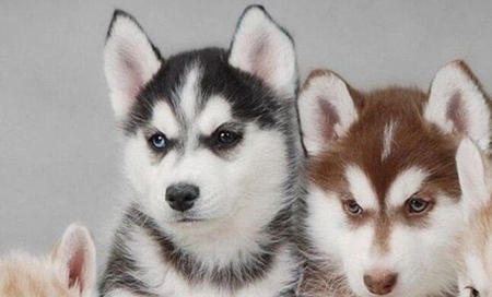 Win10显示器无法全屏显示周围有黑边框的解决方法(图5)