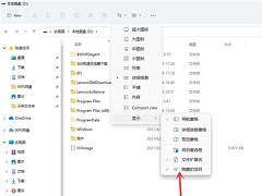 Win11隐藏文件夹怎么显示？