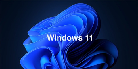 Win11问题汇总