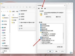 Win11后缀名隐藏了怎么打开？