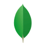 mongodb V5.0.3 最新版