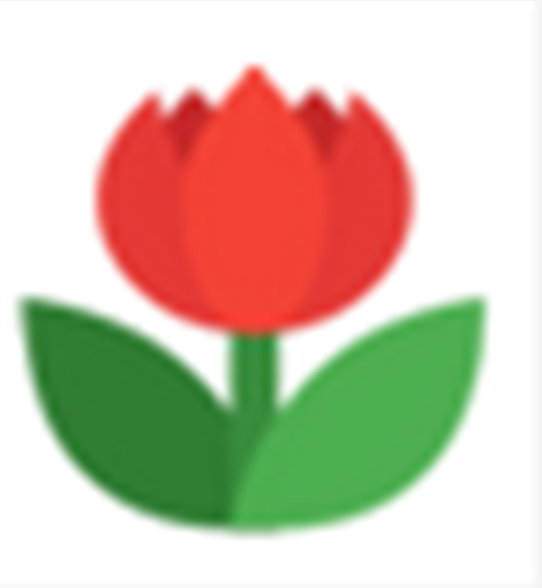 图图水印助手 V1.0.0.4 官方版