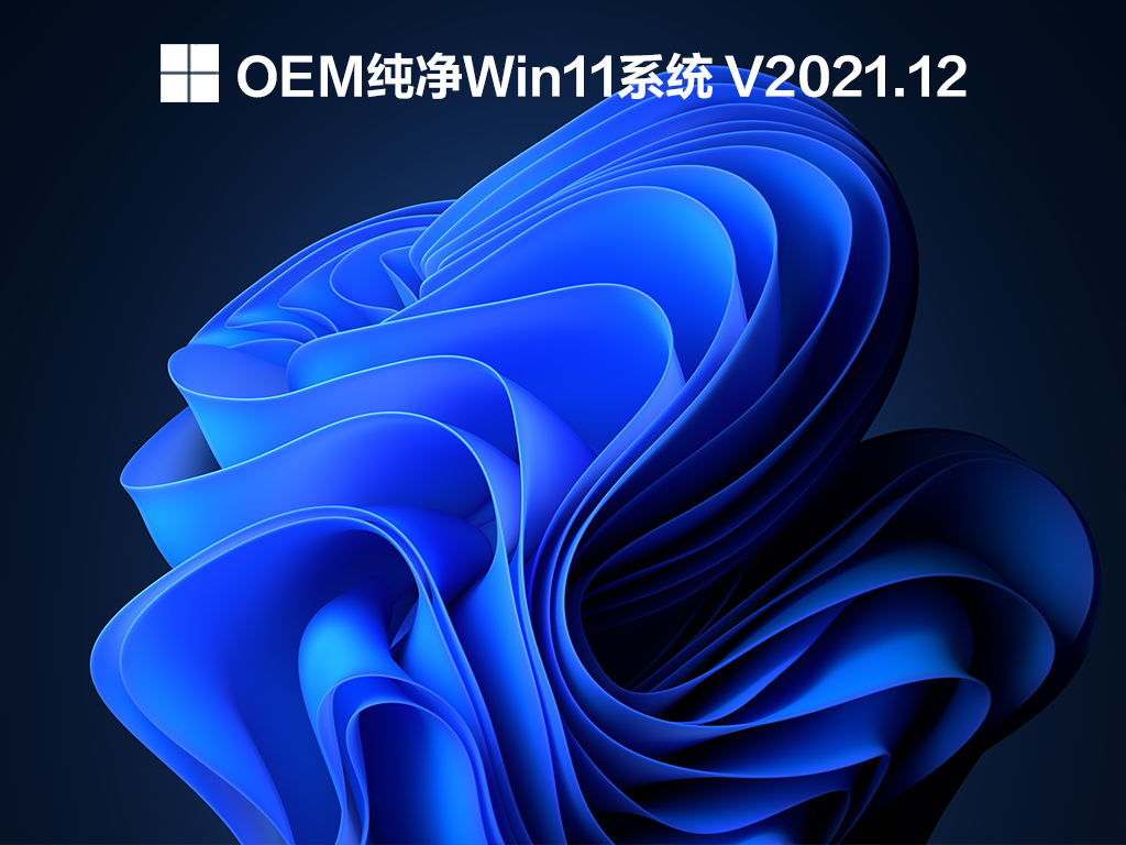 OEM纯净Win11系统 V2021