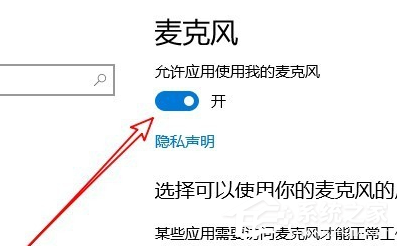 Win10专业版麦克风权限在哪里开启(图5)