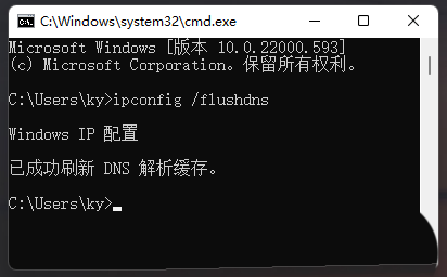 Win11怎么刷新dns命令？Win11清除dns缓存的方法-编程之家