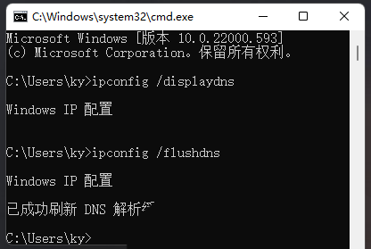 Win11怎么刷新dns命令？Win11清除dns缓存的方法-编程之家