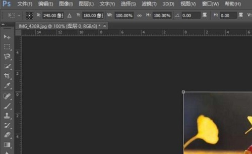 PS如何给图像添加边框？PS图像添加边框的详细教程