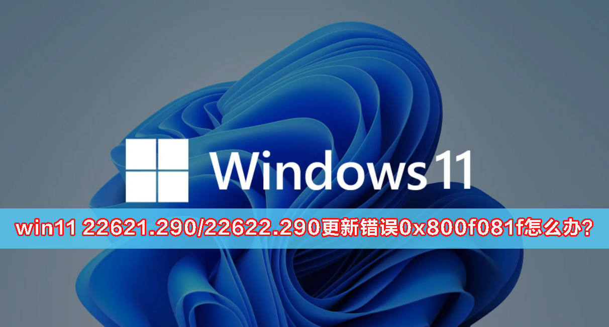 win11 22621.290/22622.290更新错误0x800f081f怎么办？